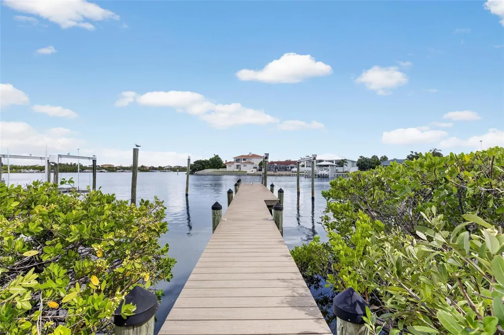 1231 ACAPPELLA LANE Apollo Beach, FL 33572
