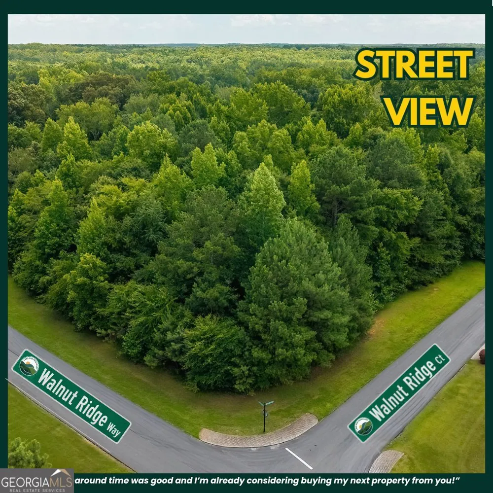15 Walnut Ridge CT Covington, GA 30014