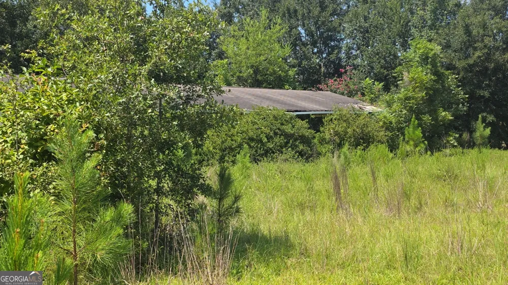 159 Grimsley RD Colquitt, GA 39837