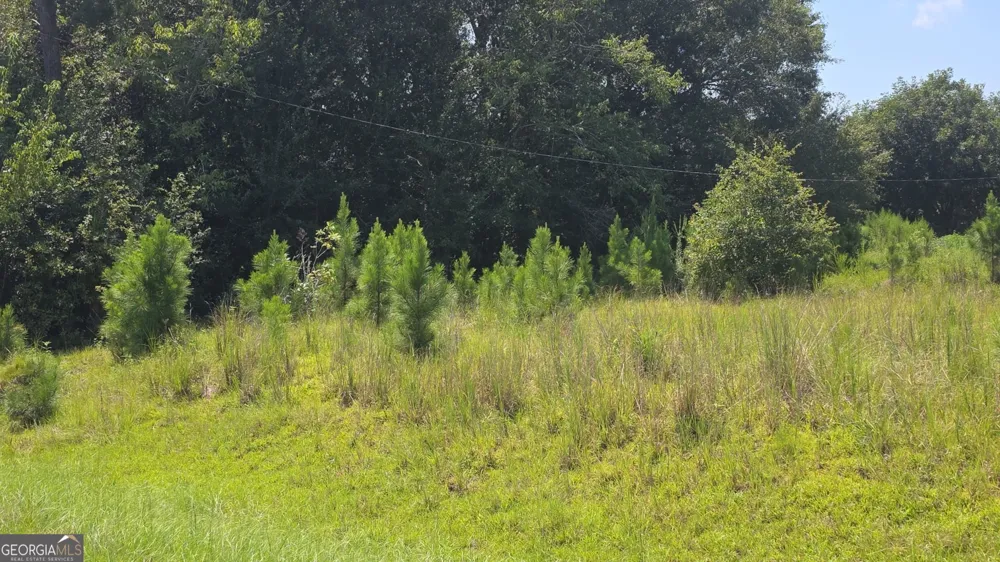 159 Grimsley RD Colquitt, GA 39837