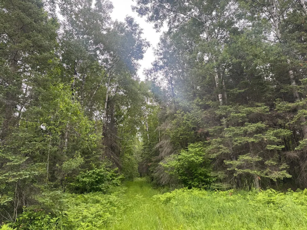 33xx Quaal Road Forbes, MN 55738