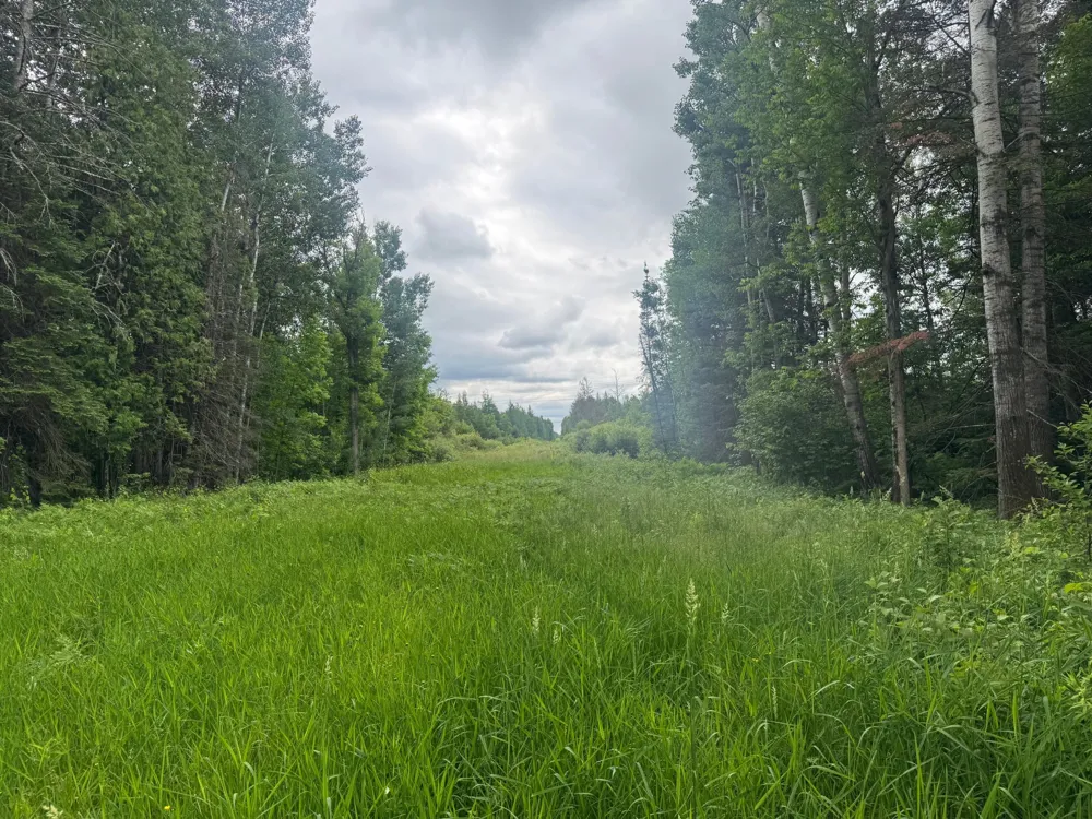 33xx Quaal Road Forbes, MN 55738