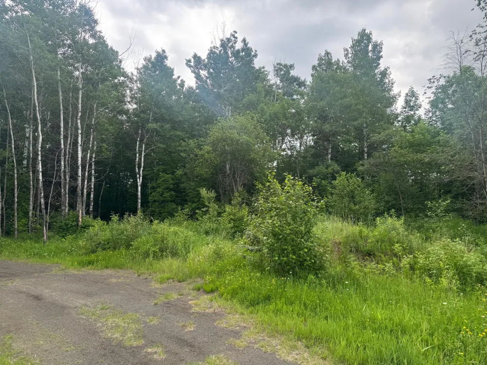 33xx Quaal Road Forbes, MN 55738