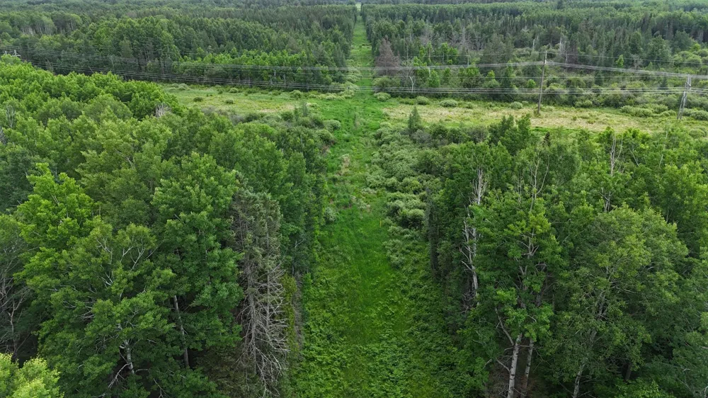 33xx Quaal Road Forbes, MN 55738