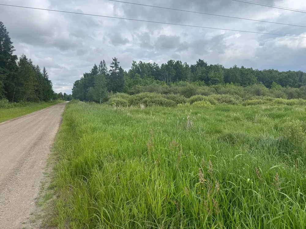 33xx Quaal Road Forbes, MN 55738