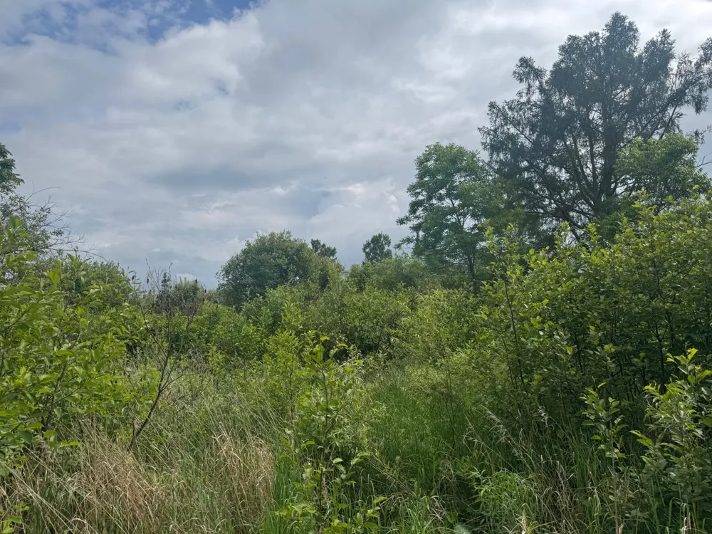 33xx Quaal Road Forbes, MN 55738
