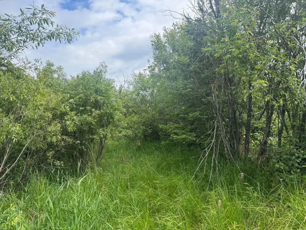 33xx Quaal Road Forbes, MN 55738