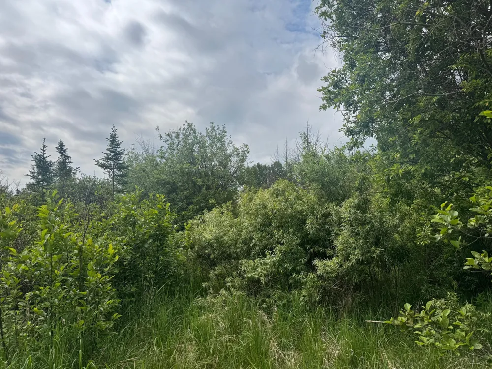 33xx Quaal Road Forbes, MN 55738