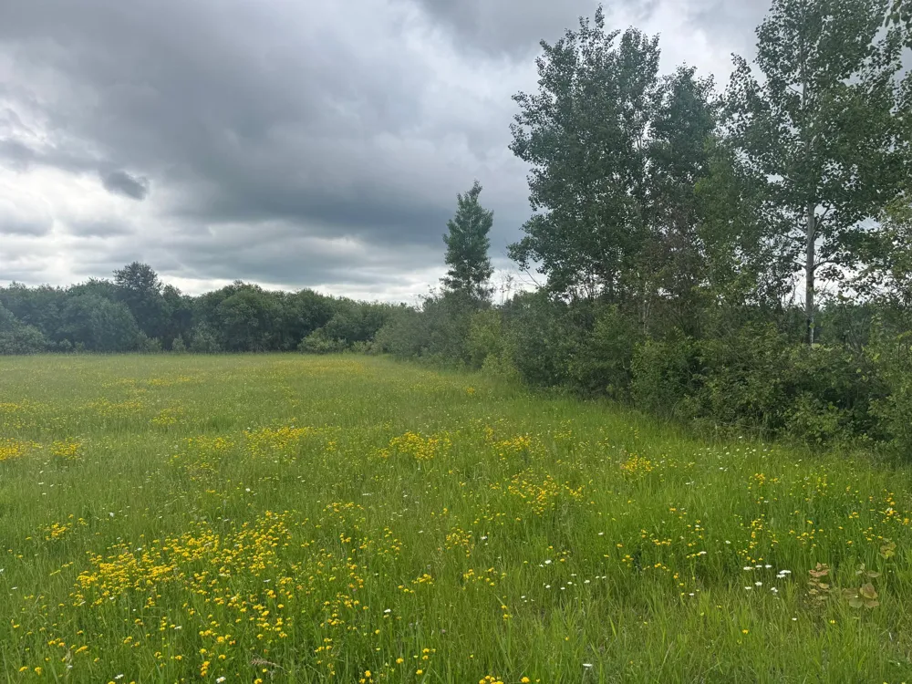 33xx Quaal Road Forbes, MN 55738