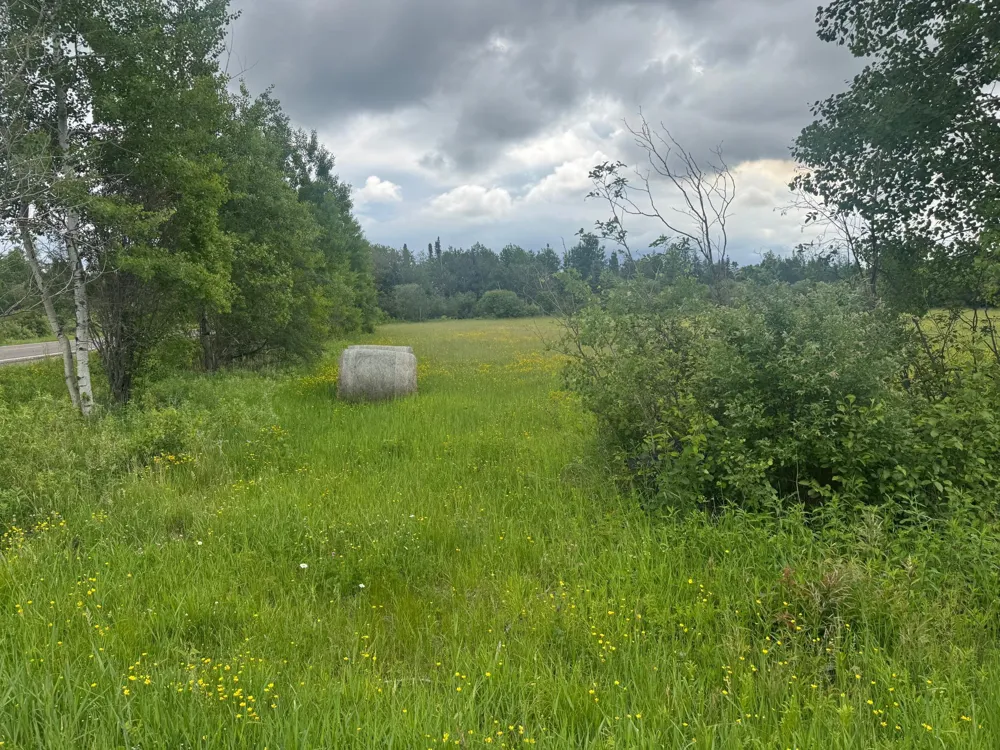 33xx Quaal Road Forbes, MN 55738
