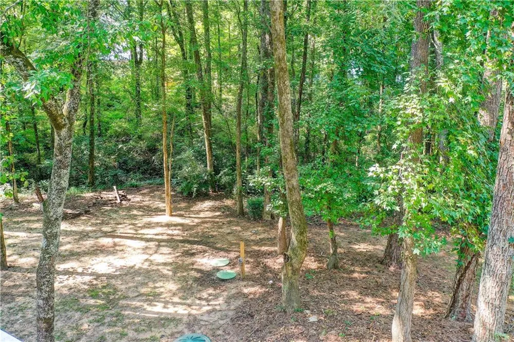 56 Montpelier Place Sharpsburg, GA 30277