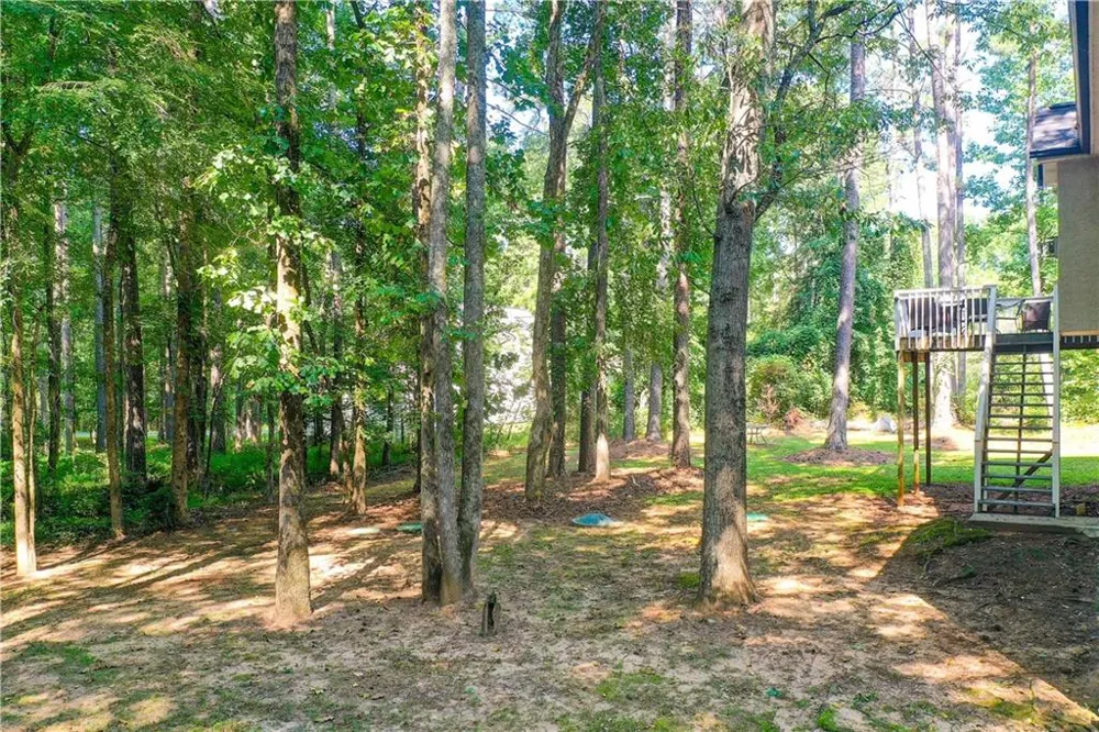 56 Montpelier Place Sharpsburg, GA 30277