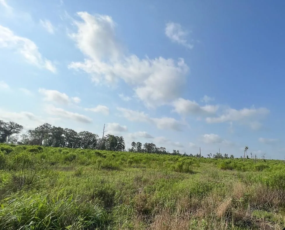 Fm 2989 Huntsville, TX 77320