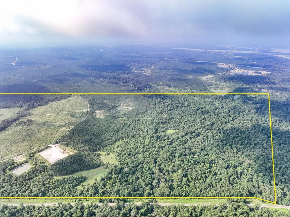 Fm 2989 Huntsville, TX 77320