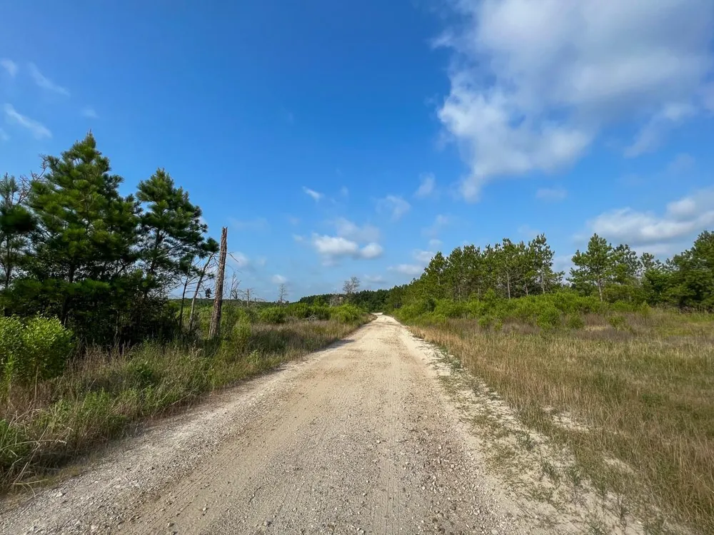 Fm 2989 Huntsville, TX 77320