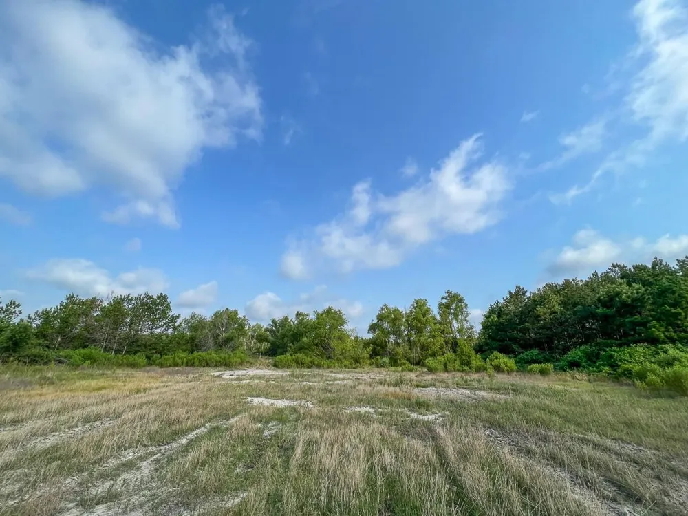 Fm 2989 Huntsville, TX 77320