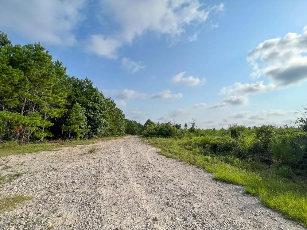 Fm 2989 Huntsville, TX 77320