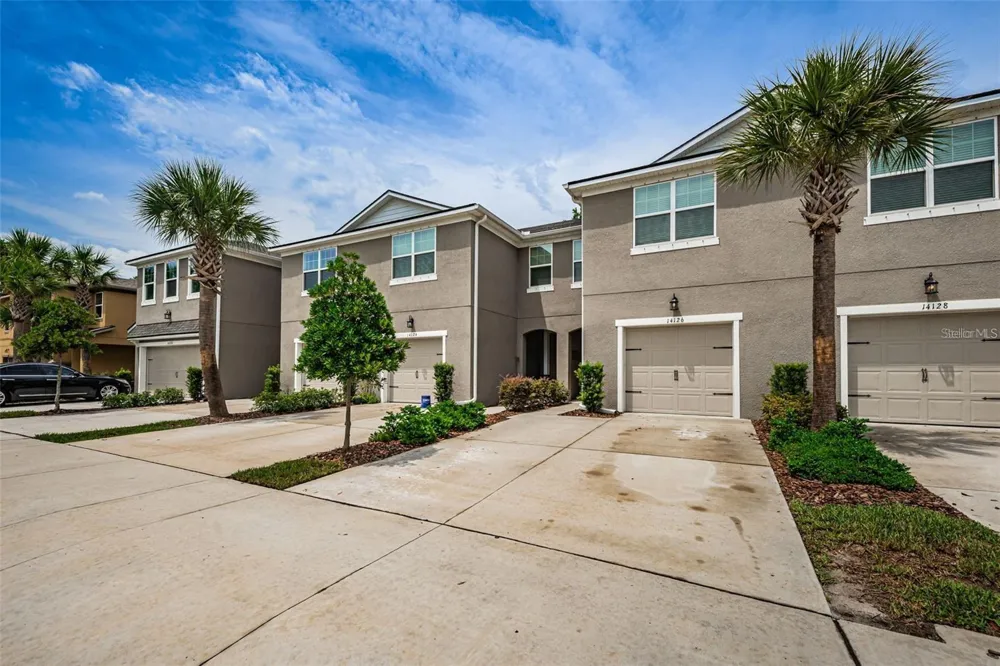 14126 DAMSELFLY DRIVE #115 Tampa, FL 33625