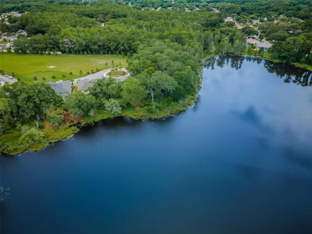 14126 DAMSELFLY DRIVE #115 Tampa, FL 33625