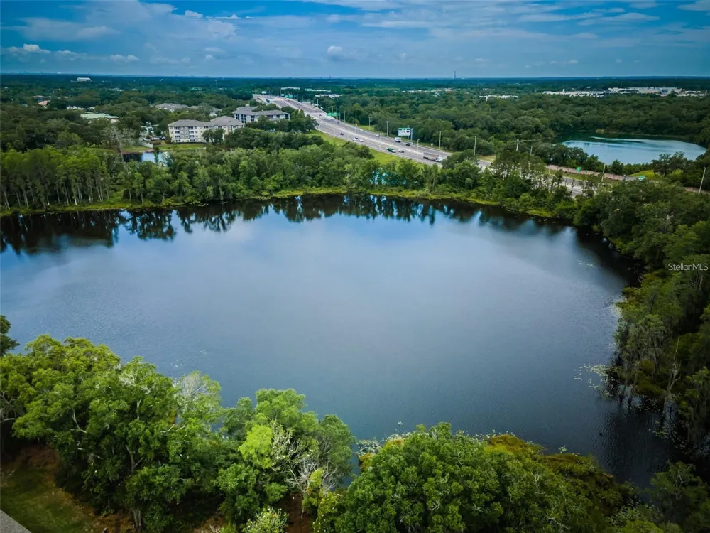 14126 DAMSELFLY DRIVE #115 Tampa, FL 33625