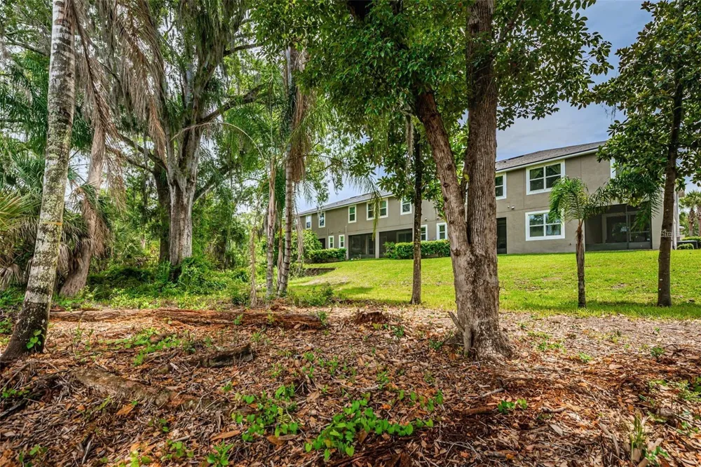 14126 DAMSELFLY DRIVE #115 Tampa, FL 33625