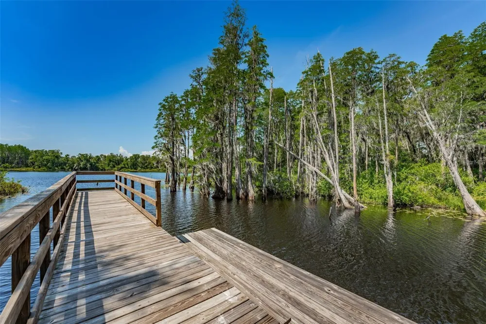 14126 DAMSELFLY DRIVE #115 Tampa, FL 33625