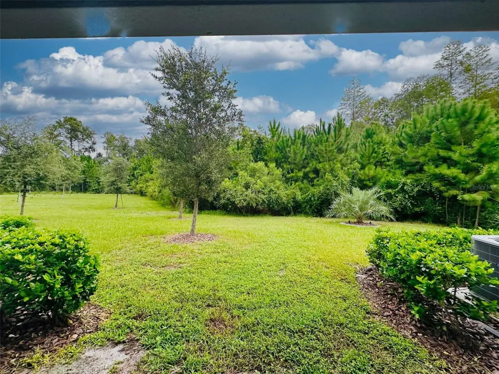 16660 SHELL BAY DRIVE Land O Lakes, FL 34638