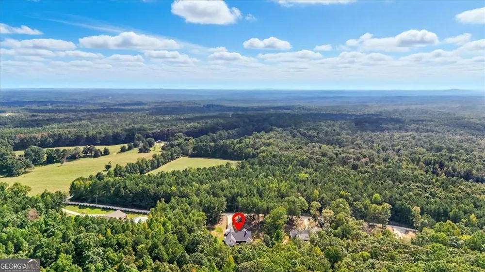 62 Joe Rowell RD Buchanan, GA 30113