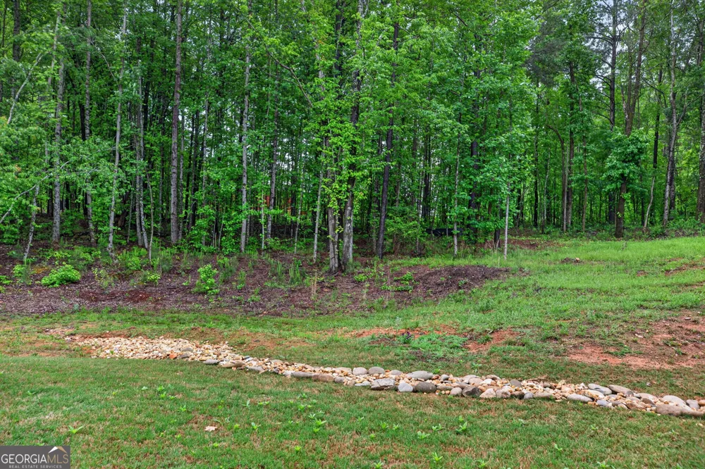 62 Joe Rowell RD Buchanan, GA 30113