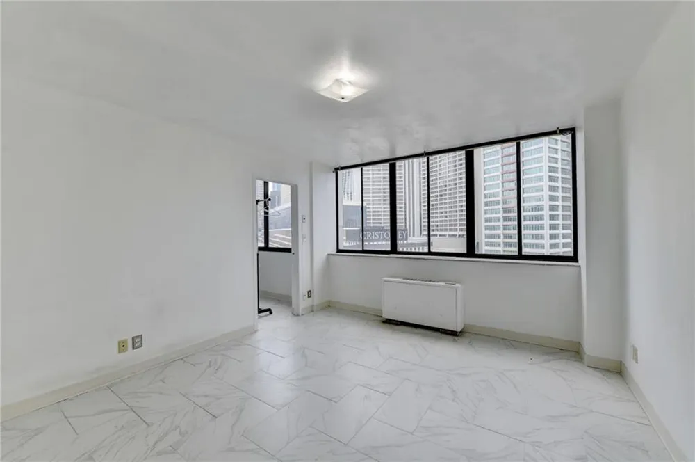 215 Piedmont Avenue NE #1009 Atlanta, GA 30308