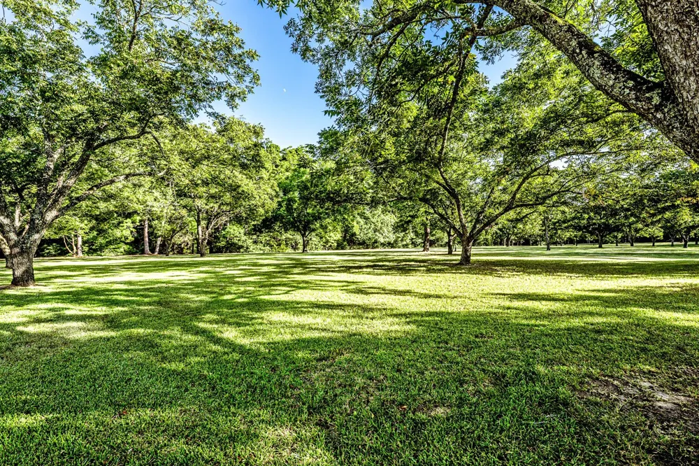 167 Fm 1791 Huntsville, TX 77340