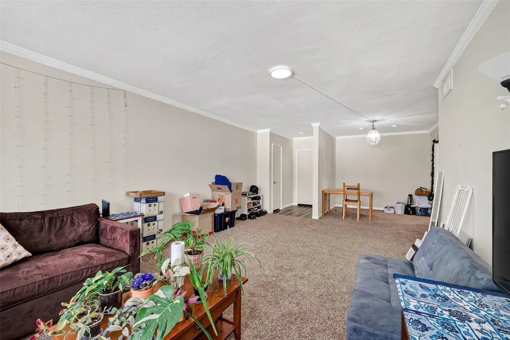 2600 Bellefontaine St Apt D24, Houston, TX 77025