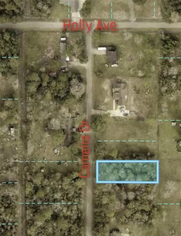 17895 Camellia Drive Beaumont, TX 77705