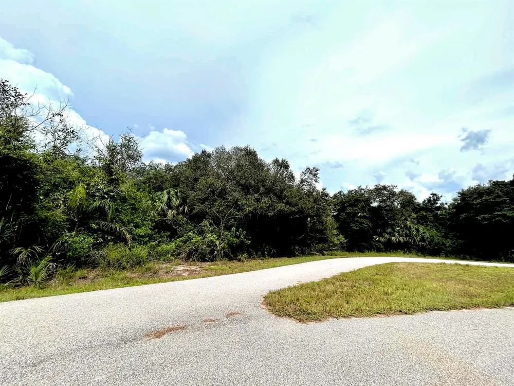 1024 DUBLIN CIRCLE Moore Haven, FL 33471