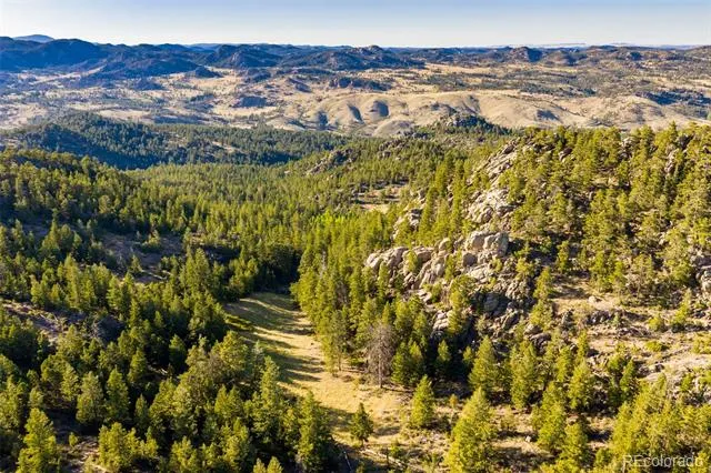 5433 Rim Road Livermore, CO 80536