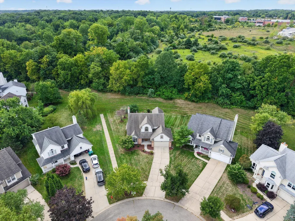 4905 Ravine Court Ann Arbor, MI 48105