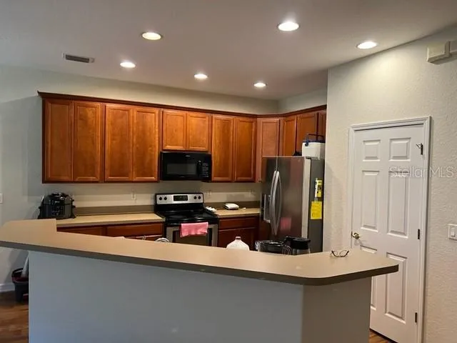 3916 SILVERLAKE WAY Wesley Chapel, FL 33544