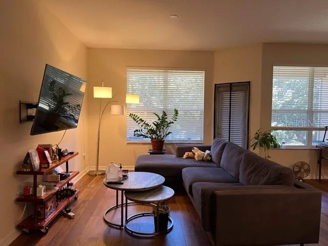 3916 SILVERLAKE WAY Wesley Chapel, FL 33544