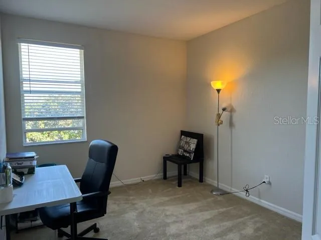 3916 SILVERLAKE WAY Wesley Chapel, FL 33544
