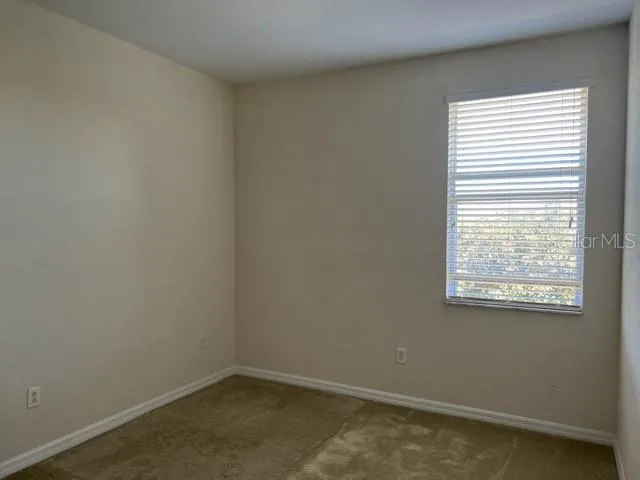 3916 SILVERLAKE WAY Wesley Chapel, FL 33544