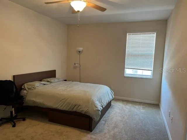 3916 SILVERLAKE WAY Wesley Chapel, FL 33544