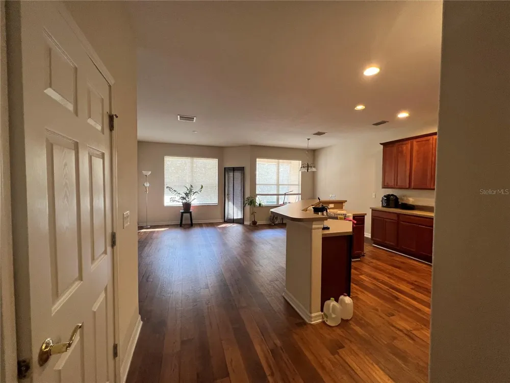 3916 SILVERLAKE WAY Wesley Chapel, FL 33544