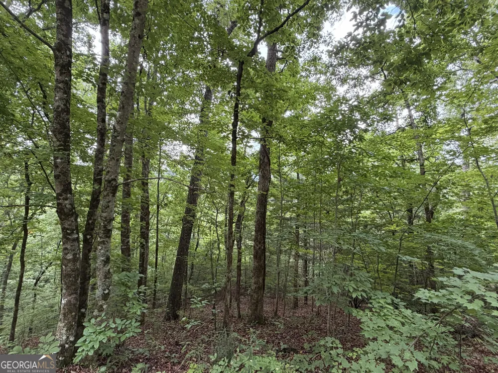 4.63 Twiggs RD Hiawassee, GA 30546
