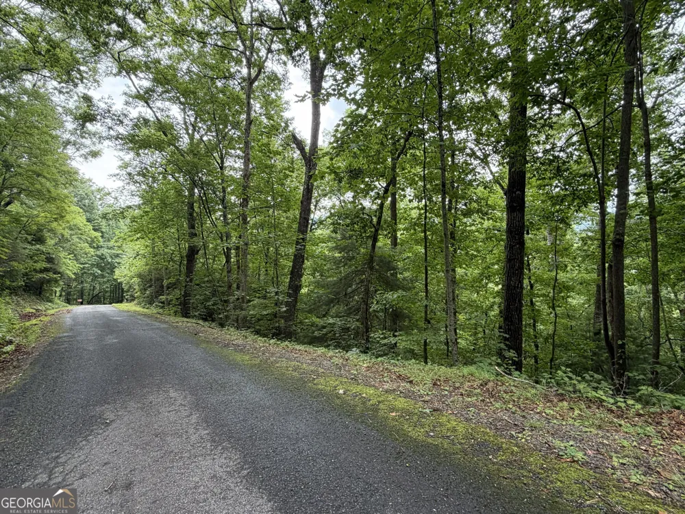 4.63 Twiggs RD Hiawassee, GA 30546