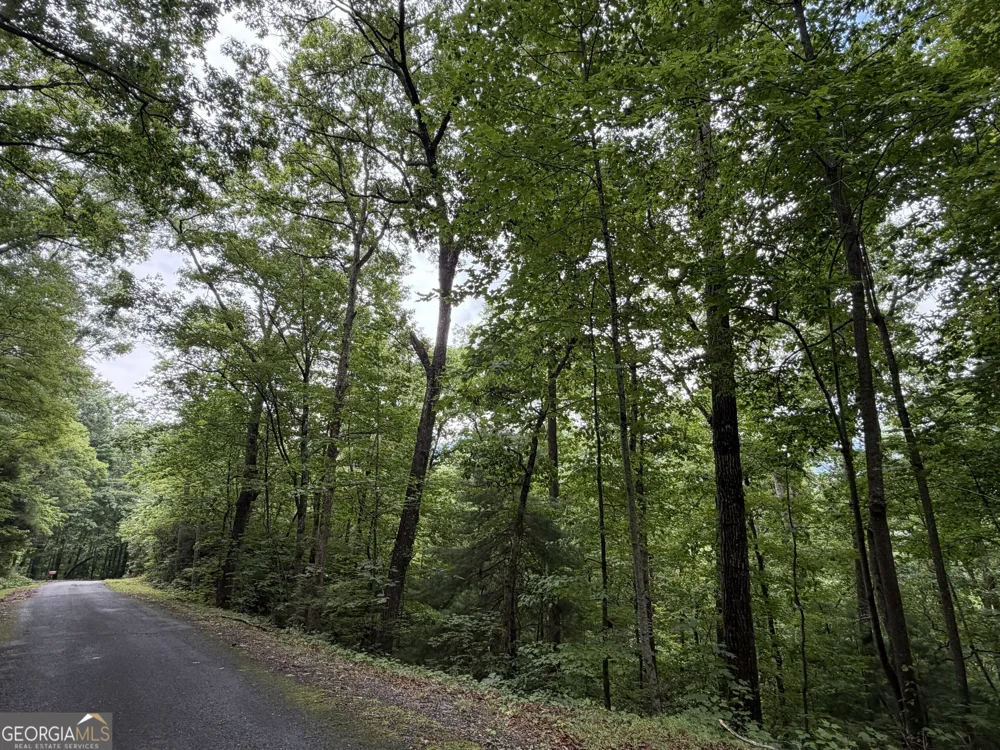 4.63 Twiggs RD Hiawassee, GA 30546