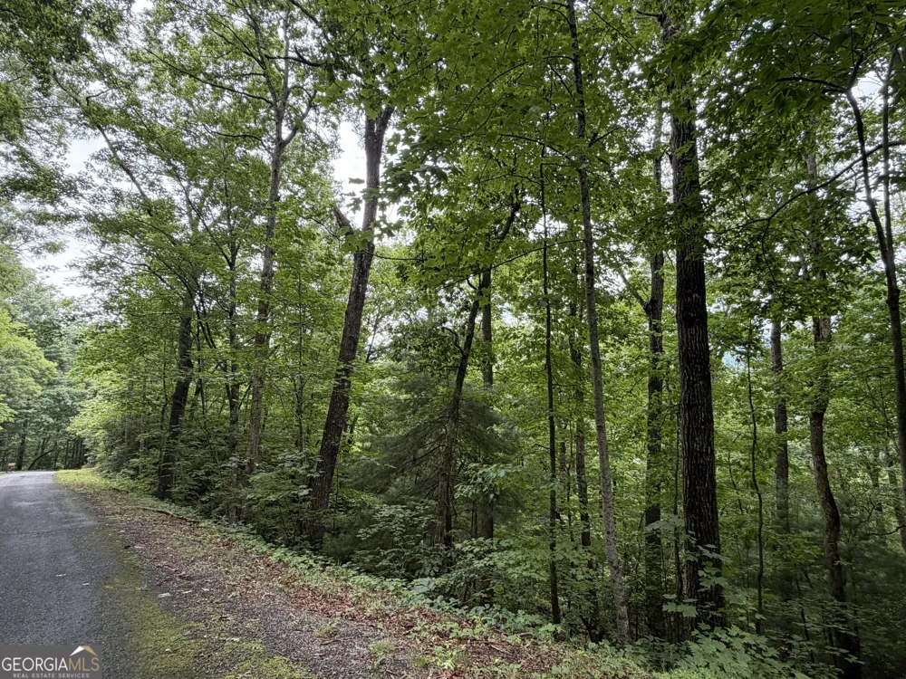 4.63 Twiggs RD Hiawassee, GA 30546