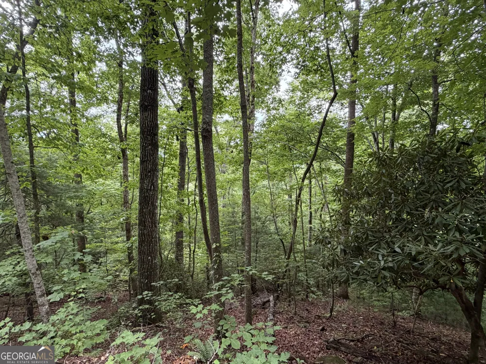 4.63 Twiggs RD Hiawassee, GA 30546