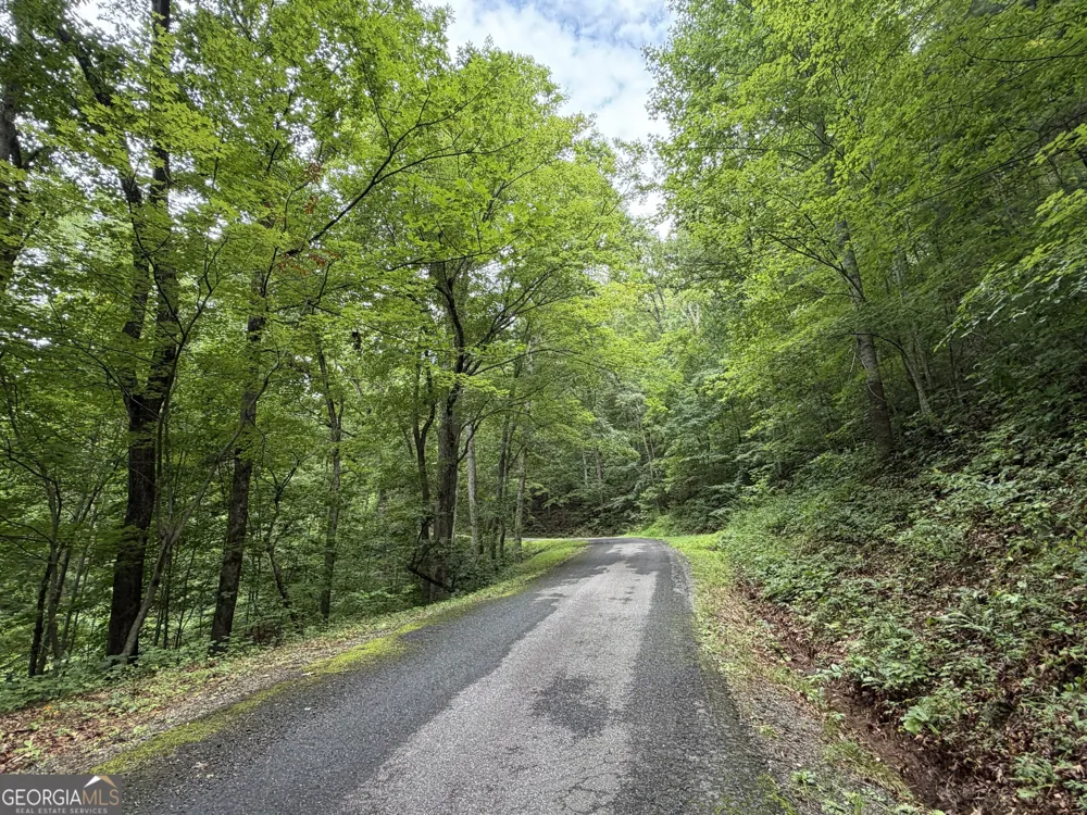 4.63 Twiggs RD Hiawassee, GA 30546