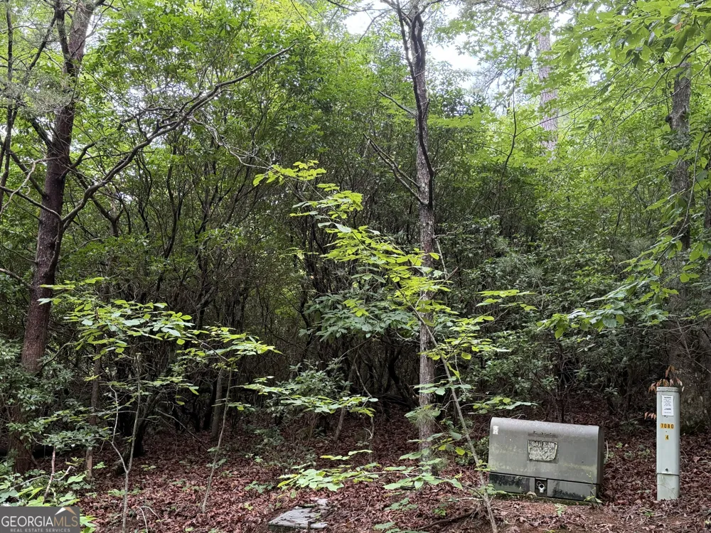 4.63 Twiggs RD Hiawassee, GA 30546