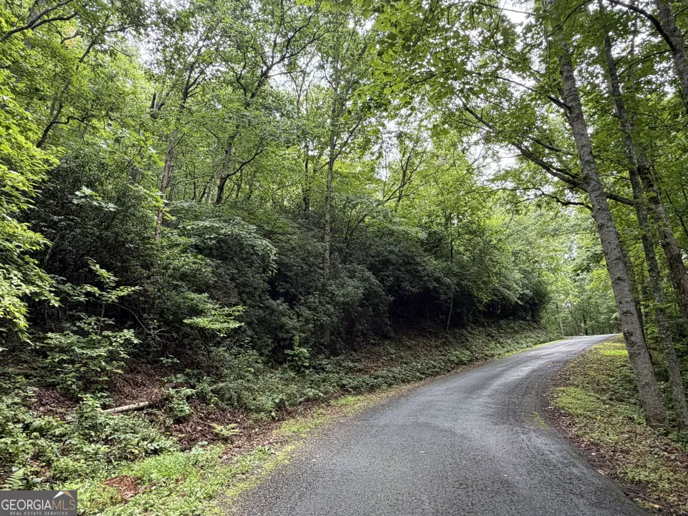 4.63 Twiggs RD Hiawassee, GA 30546